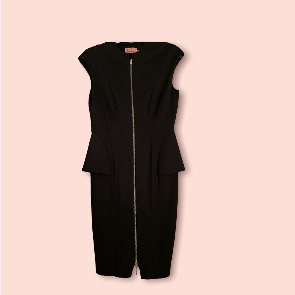 Ted Baker SIONA working title dress